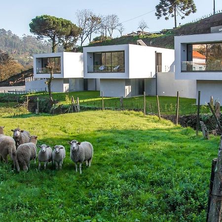 Viana Do Castelo - Amonde Village - Casa L - Disfrute Da Natureza 외부 사진