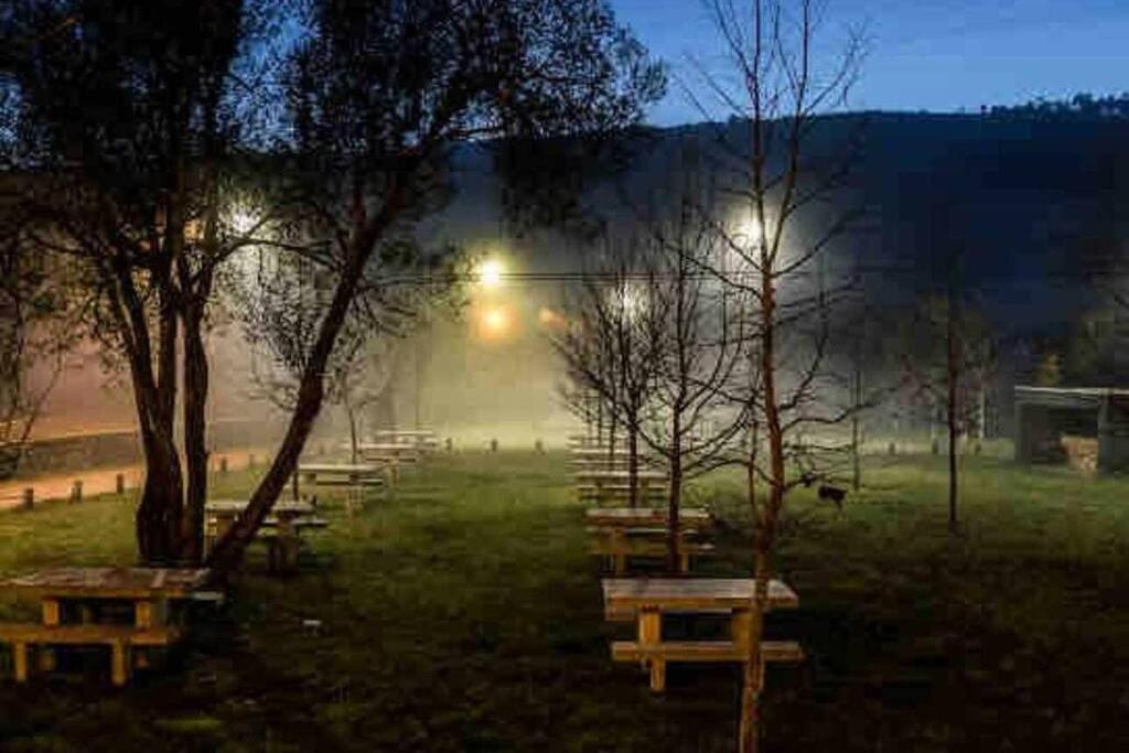Viana Do Castelo - Amonde Village - Casa L - Disfrute Da Natureza 외부 사진