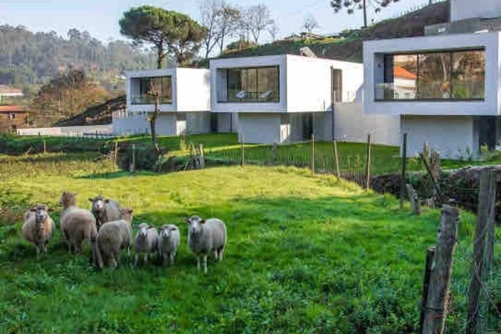 Viana Do Castelo - Amonde Village - Casa L - Disfrute Da Natureza 외부 사진
