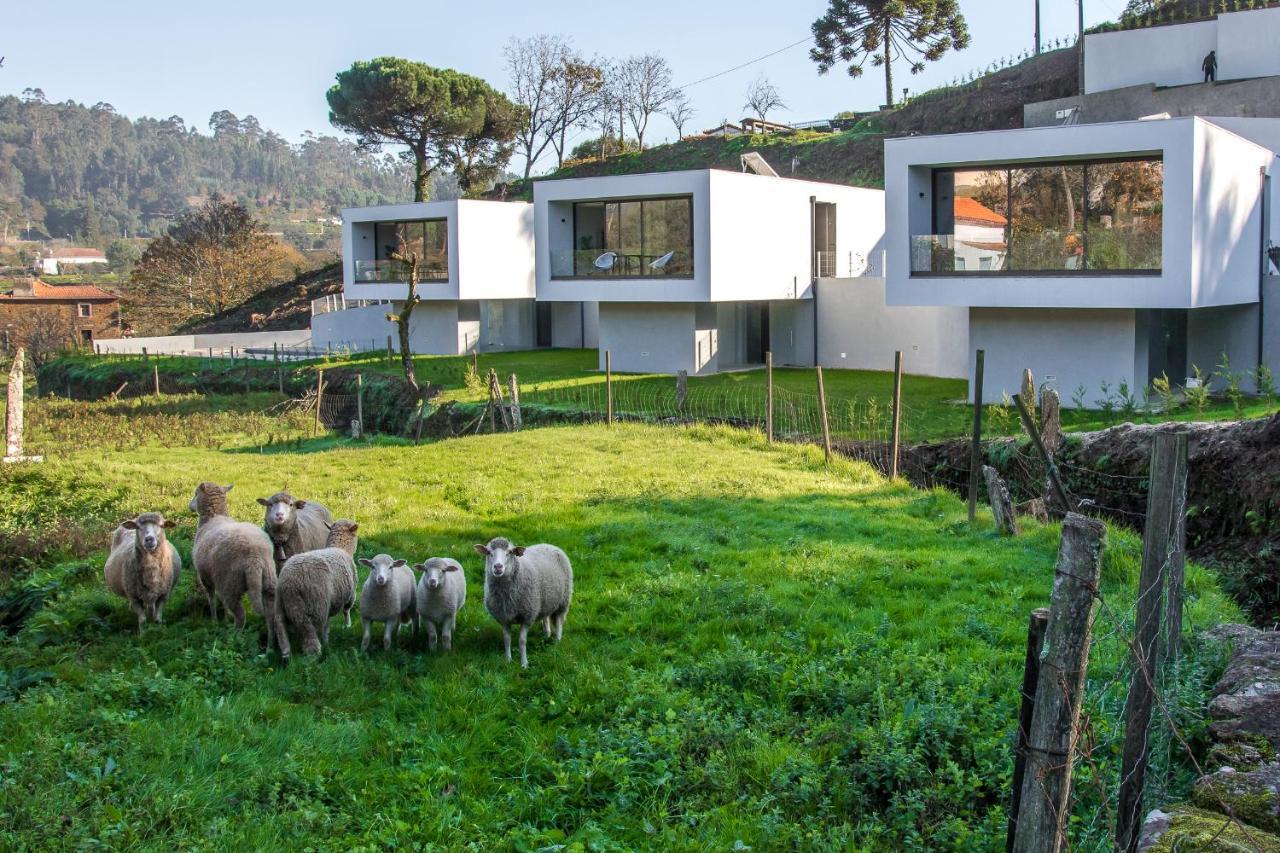 Viana Do Castelo - Amonde Village - Casa L - Disfrute Da Natureza 외부 사진